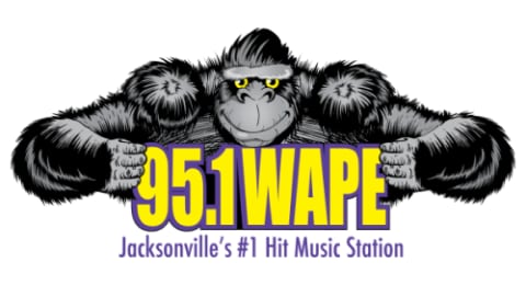 95.1 WAPE